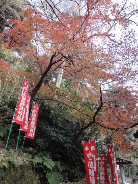 写真 佐助稲荷紅葉.jpg