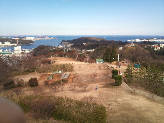 写真 田浦梅の里からの景色.jpg