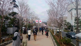 写真 若宮大路（鎌倉彫会館）.jpg