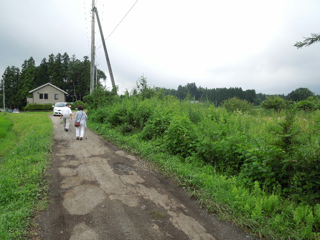 写真 野立て太陽光04 適地.jpg