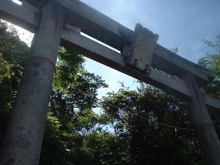 写真140606fri 三嶋神社鳥居.jpg