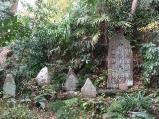 写真150227fri 五所神社 御岳信仰碑.jpg