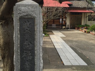 写真150313fri 向福寺.jpg