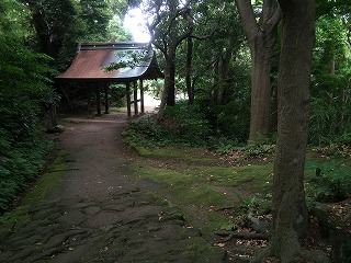 写真160715fri 神武寺裏参道03.jpg