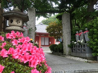 写真160812fri 光照寺.jpg