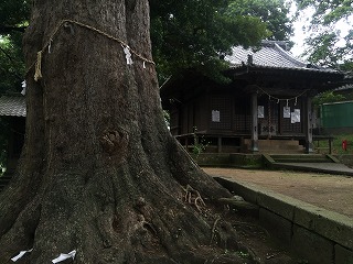 写真160826fri 五霊神社.jpg