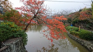 写真161202fri 源氏池の紅葉.jpg
